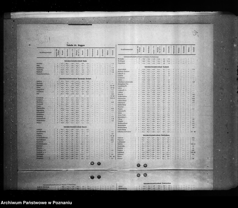 Obraz 19 z jednostki "Statystyka zapasów różnych zbóż i roślin"