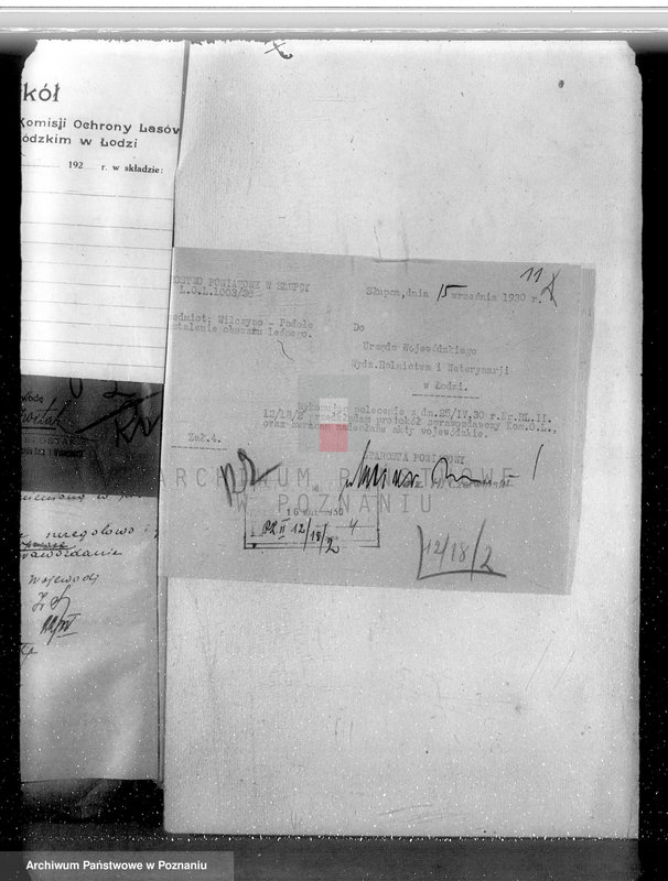 Obraz 16 z jednostki "Ustalenie powierzchni leśnej majątku Wilczyno-Podole powiat słupecki oraz nieprawne wyręby lasu"