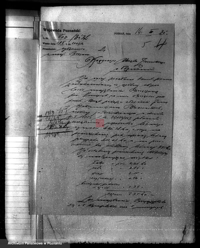 Obraz 9 z jednostki "Majętność leśna w Parzęcinie powiat kościański"