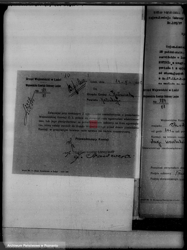 Obraz 14 z jednostki "Gmina Koźminek powiat kaliski /sprawy leśne/"