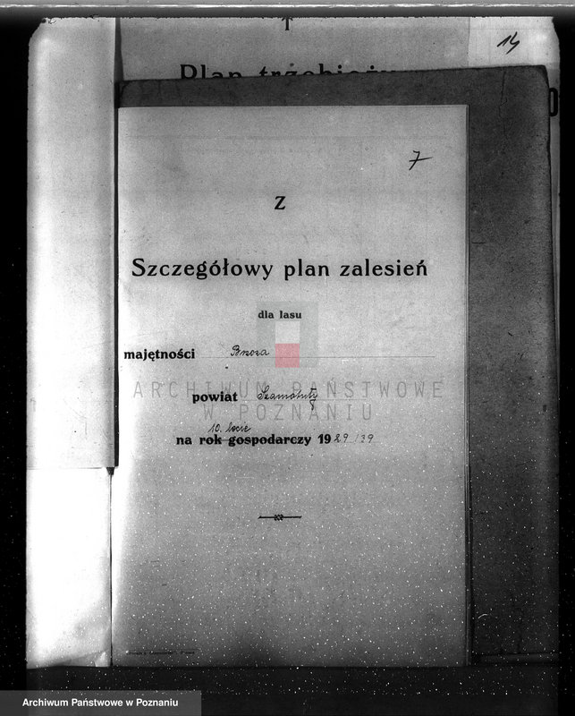 image.from.unit.number "Plan urządzenia gospodarstwa leśnego dla lasu majętności Brzoza powiat szamotulski 1929-1939"