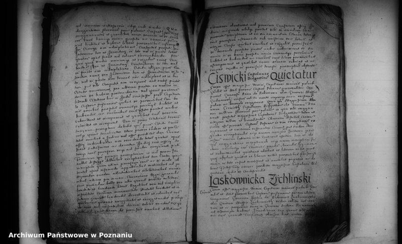 Obraz 7 z jednostki "Inscriptiones [inducta]"