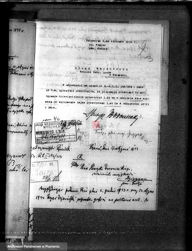 Obraz 17 z jednostki "Majętność leśna Dzięczyna w powiecie gostyńskim"