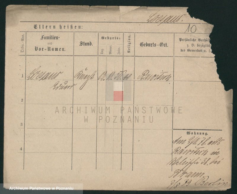 Obraz 10 z jednostki "Lesa - Lesisz"