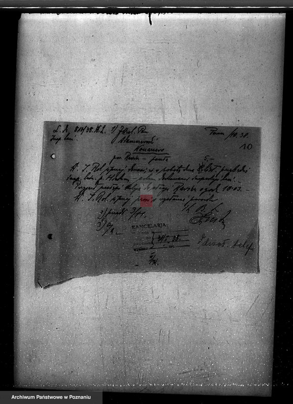 Obraz 14 z jednostki "Nadzór nad gospodarką w lasach Konarzewa powiatu rawickiego"