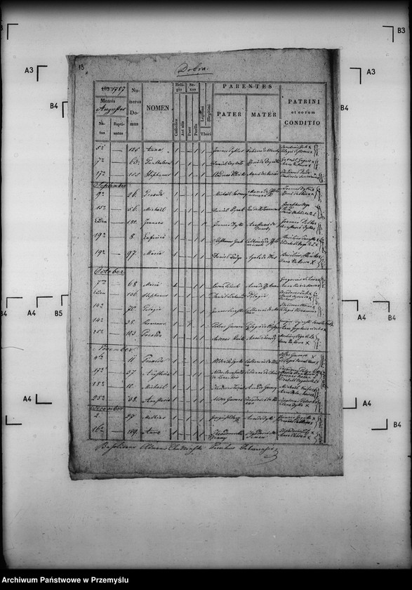 Obraz 17 z jednostki "[Kopie ksiąg metrykalnych parafii Dobra (dekanat Sieniawa)]"