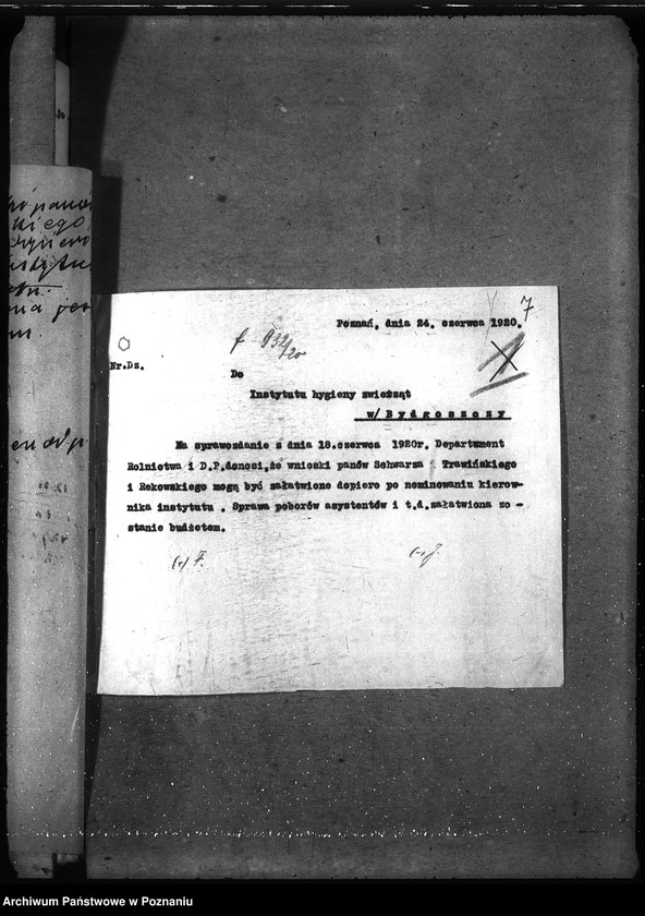 Obraz 11 z jednostki "Instytut Higieny Zwierząt w Bydgoszczy"