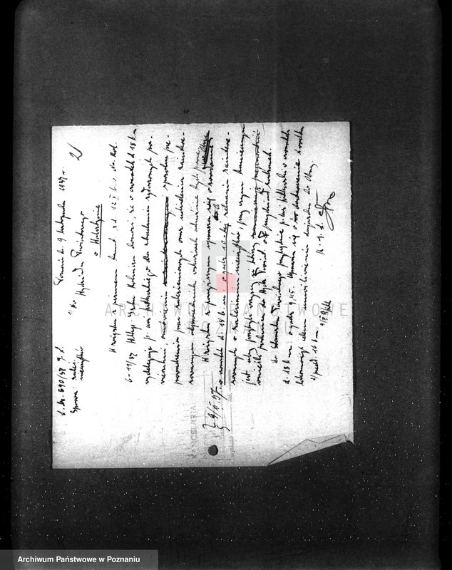 Obraz 7 z jednostki "Zalesienie nieużytków pod nadzorem Izby Rolniczej w powiecie wolsztyńskim"