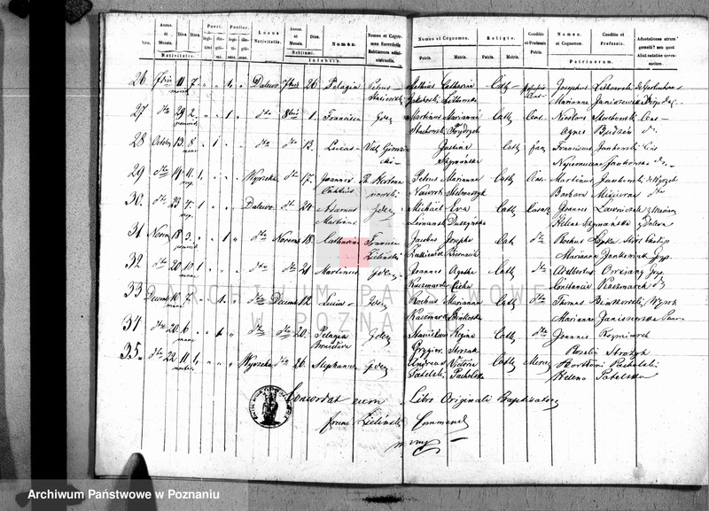 Obraz 8 z jednostki "Liber baptisatorum, copulatorum u. mortuorum"
