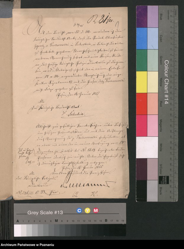 Obraz 4 z jednostki "A. betr. Witold Koczorowski"