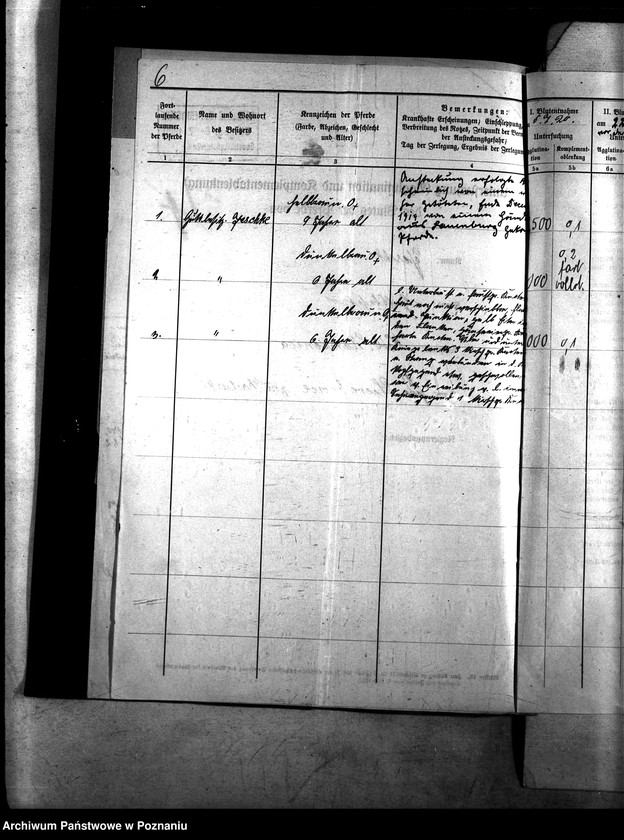 Obraz 10 z jednostki "Nosacizna - Kartuzy"