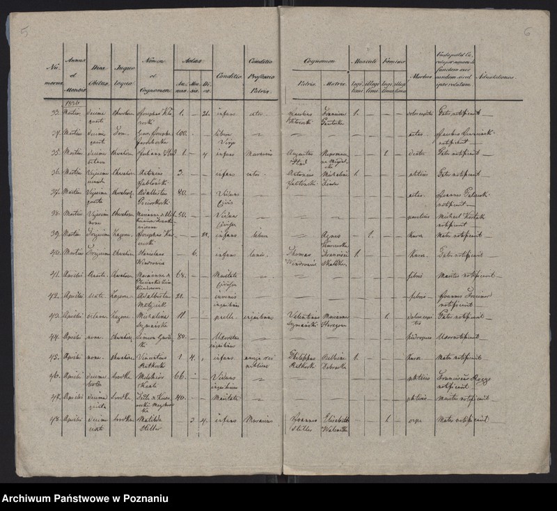 Obraz 5 z jednostki "Księga zgonów"