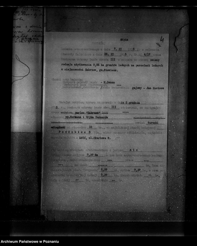 Obraz 8 z jednostki "Parcele leśne pod nazwą,,Zakrzew" powiat turecki"