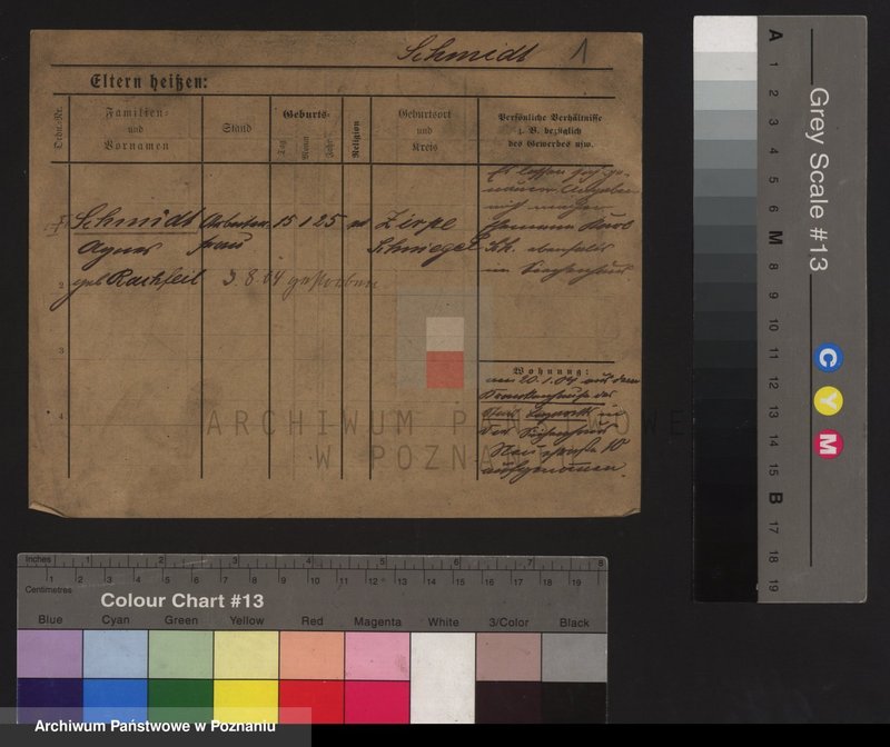 Obraz 5 z jednostki "Szmidt (wdowy i samotni mężczyźni do Iwan)"