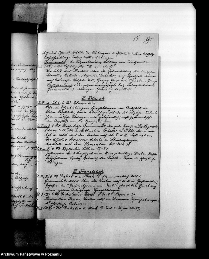 Obraz 18 z jednostki "Niemiecka Prywatna Szkoła Przygotowawcza Lissy Eltner- Zbąszyń"