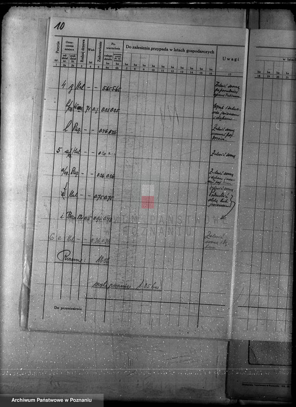 Obraz 14 z jednostki "Plan urządzania gospodarstwa leśnego dla lasu majętności Borówkowo-Stare i Piotrkowice powiat kościański"