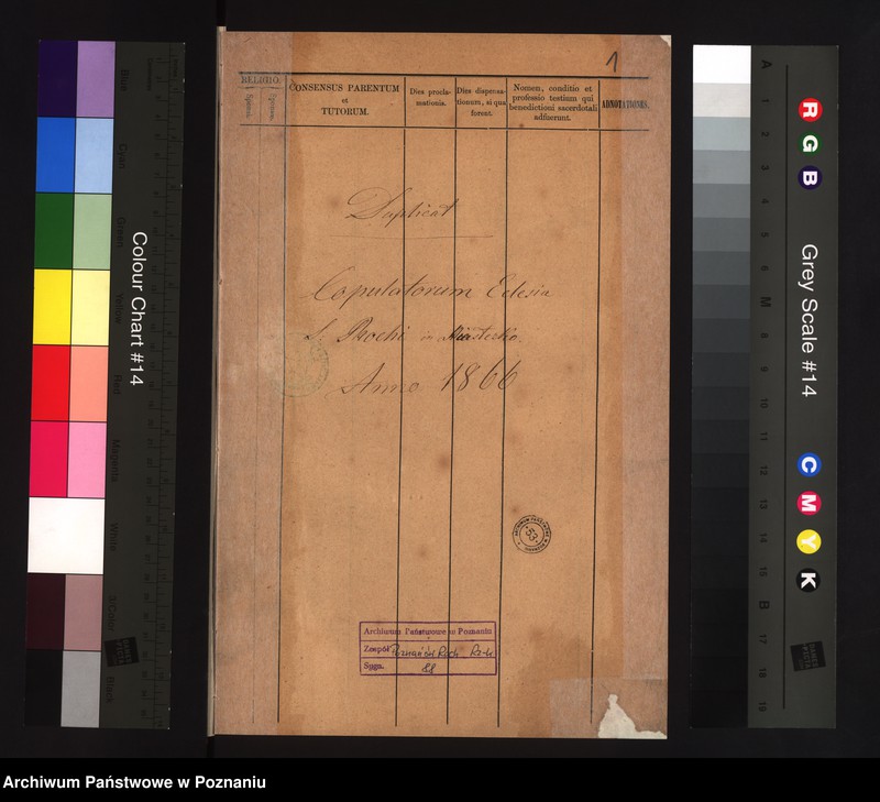 Obraz 3 z jednostki "Duplicat copulatorum"