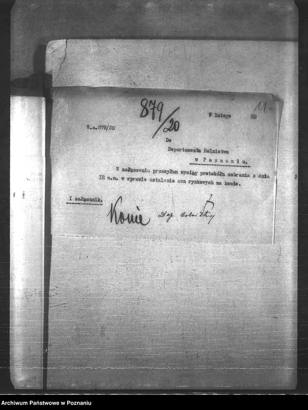 Obraz 15 z jednostki "Konie"