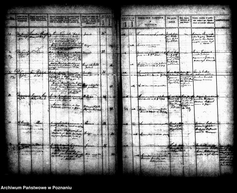 Obraz 9 z jednostki "Księga małżeństw"