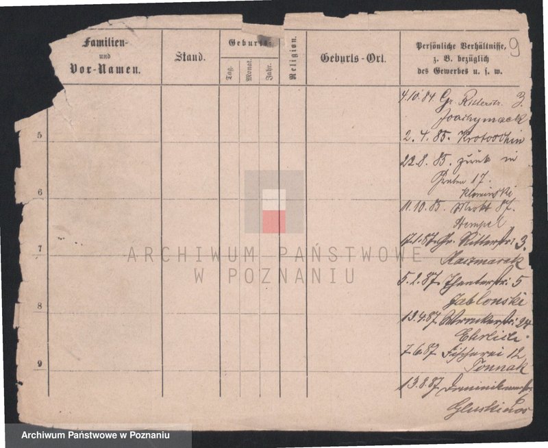 Obraz 11 z jednostki "Dornat - Drachowski"