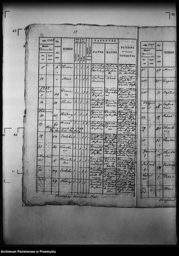 Obraz 17 z jednostki "[Kopie ksiąg metrykalnych parafii Wierzchomla Wielka z filiami Wierzchomla Mała, Zubrzyk (dekanat Muszyna)]"