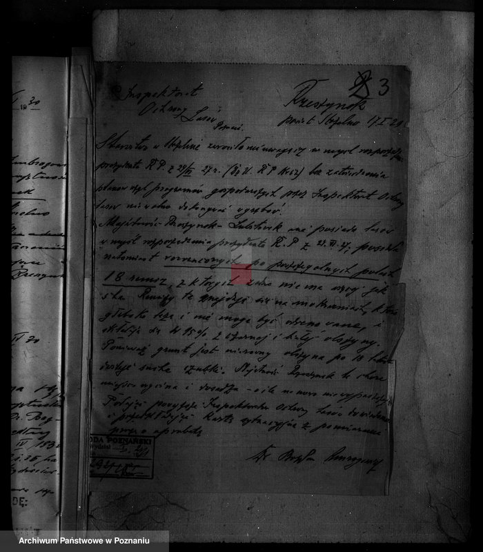 Obraz 8 z jednostki "/Majętność leśna Rzeszynek powiat mogileński"