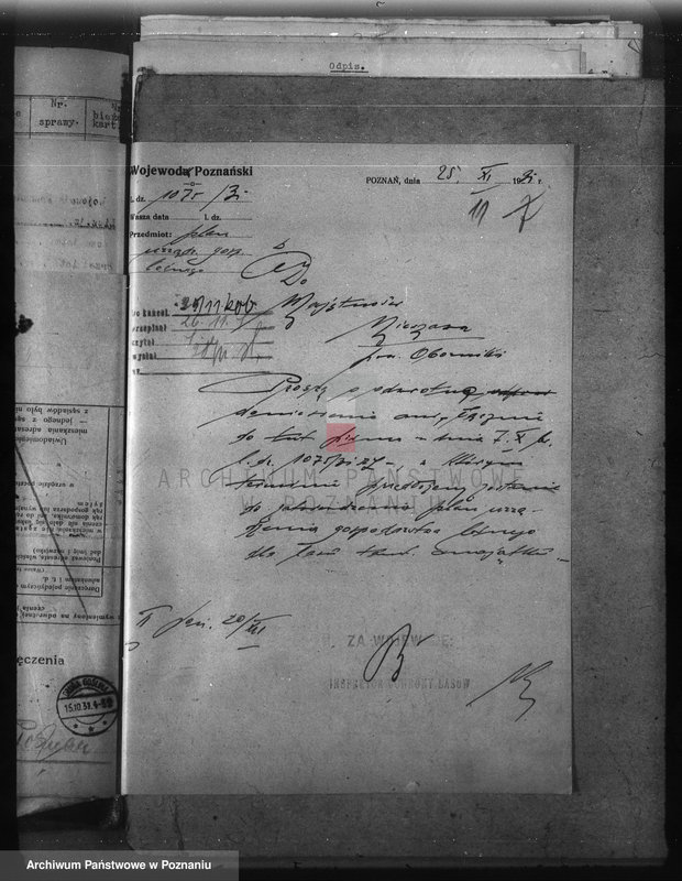 Obraz 15 z jednostki "Nadzór nad gospodarką w lasach majętności Nieszawa powiat obornicki"