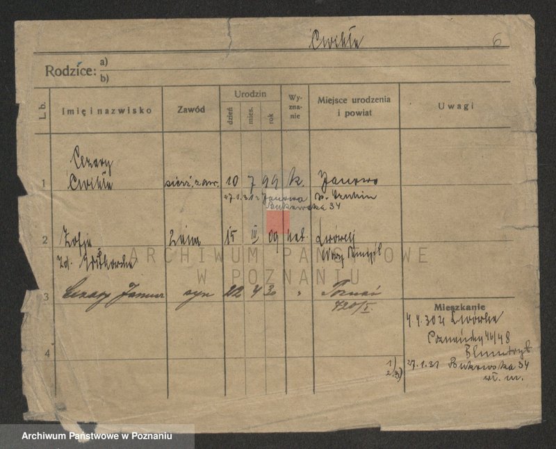 Obraz 8 z jednostki "Ćwikła - Cypliński"