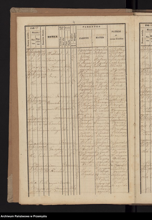 image.from.unit.number "[Kopie urodzeń, zgonów małżeństw parafii w Dzikowie za lata 1864-1865]"