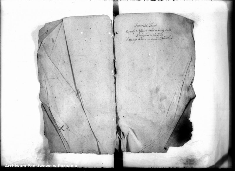 Obraz 4 z jednostki "Inscriptiones [inducta]"