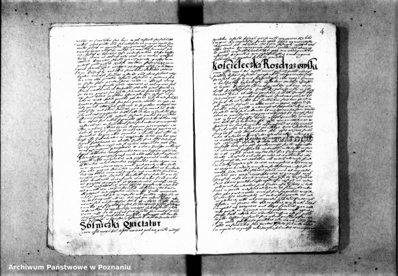 Obraz 8 z jednostki "Inscriptiones [inducta]"