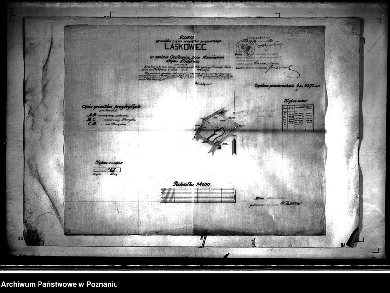 Obraz 6 z jednostki "Plan gruntów części majątku prywatnego Laskowiec powiatu konińskiego w skali 1:4000"