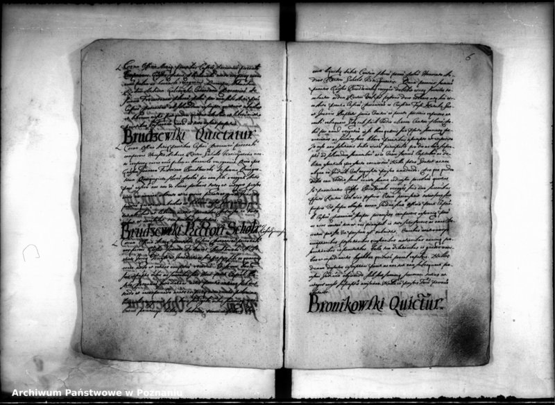 Obraz 8 z jednostki "Inscriptiones [inducta]"