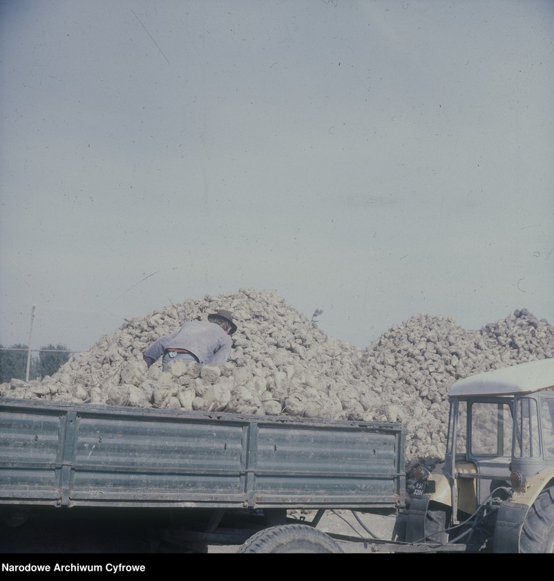 Obraz 13 z jednostki "Cukrownia "Michałów" w Lesznie koło Warszawy"