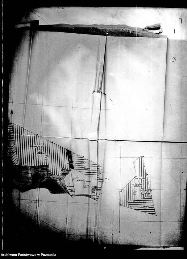 Obraz 8 z jednostki "Rejestr zasiewów majątku Lutom"