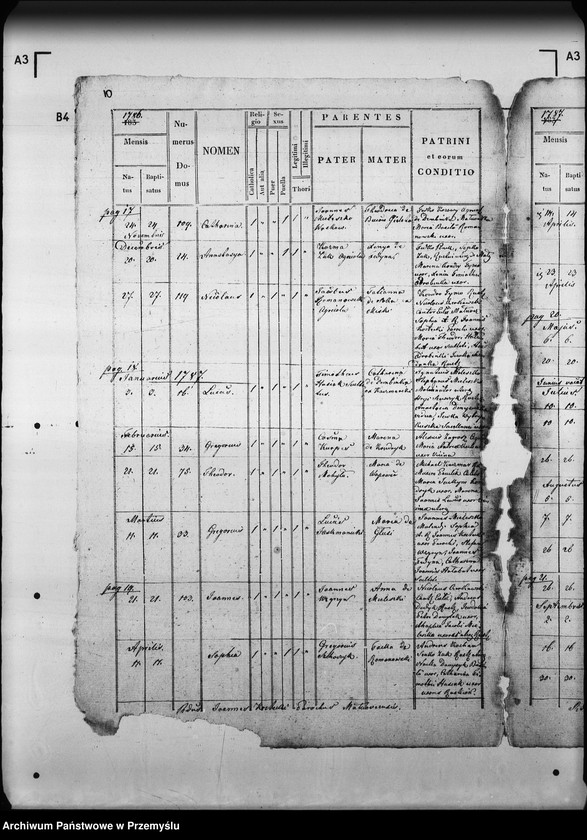 Obraz 15 z jednostki "[Kopie ksiąg metrykalnych parafii Małnów (dekanat Mościska)]"