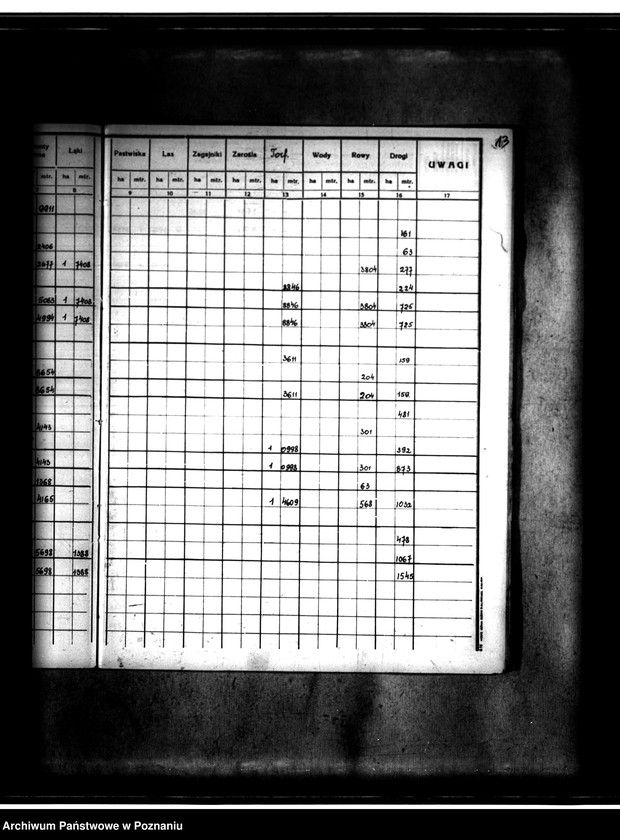 Obraz 17 z jednostki "Rejestr pomiarowy gminy Goszczanów powiat turecki"