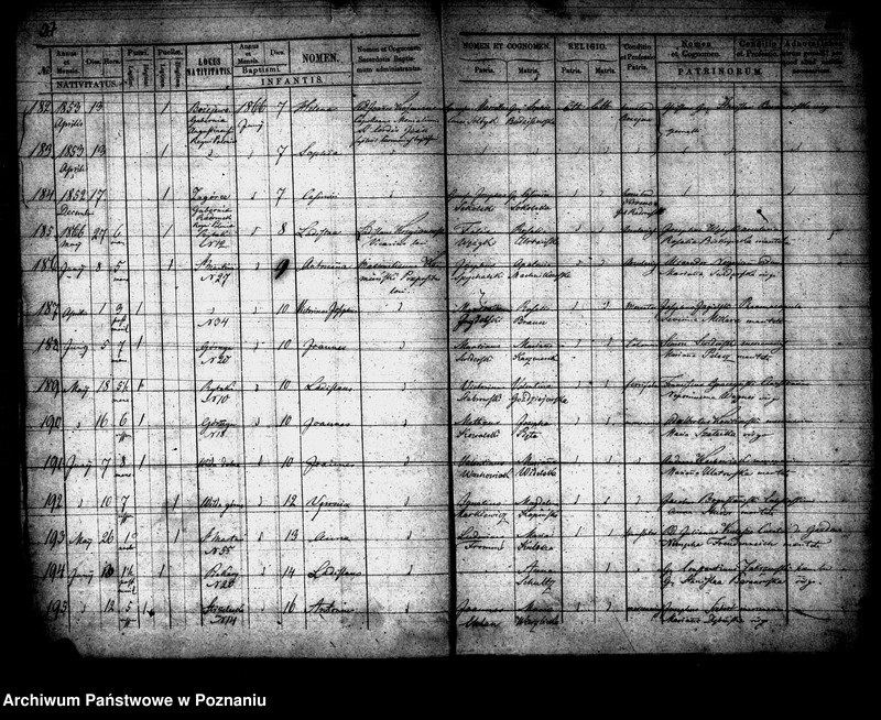 Obraz 15 z jednostki "Księga urodzeń"