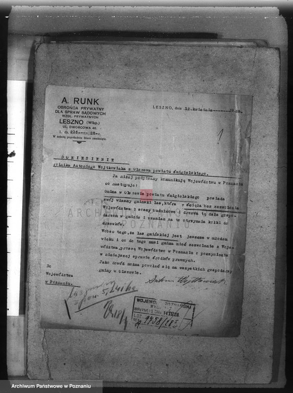 Obraz 5 z jednostki "Las gminy Olszewo powiat ostrowski"