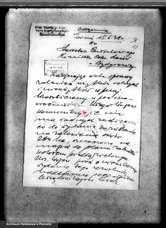 Obraz 15 z jednostki "Majątek Wierzbiczany w powiecie inowrocławskim /nadzór nad gospodarką leśną"