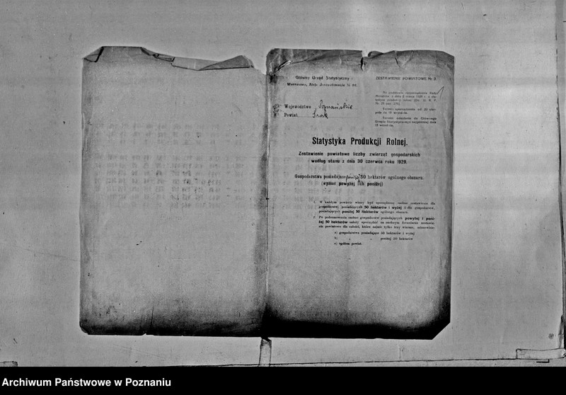 Obraz 3 z jednostki "/Statystyka produkcji rolnej - zestawienie liczby zwierząt gospodarczych z terenu powiatu średzkiego/"