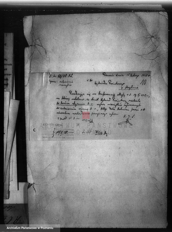 Obraz 14 z jednostki "Zalesienie nieużytków w powiecie mogileńskim"