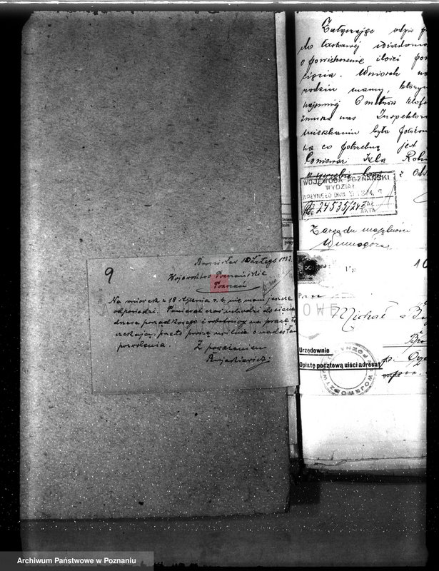 Obraz 13 z jednostki "Nadzór nad gospodarką w lasach majętności Bronisław"