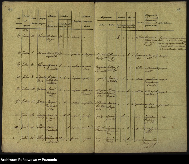 Obraz 12 z jednostki "Księga zgonów"