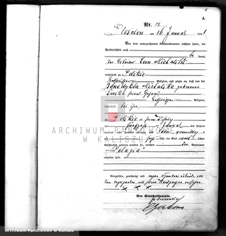 image.from.unit.number "[Księga urodzeń]"