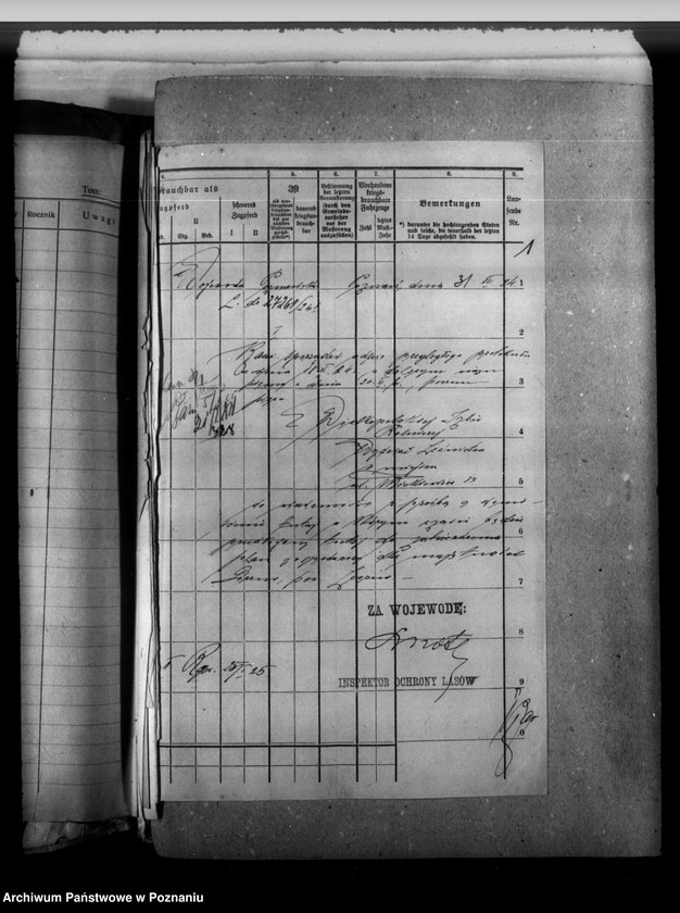 Obraz 5 z jednostki "Majętność leśna Górzno-Bojanice powiat leszczyński"