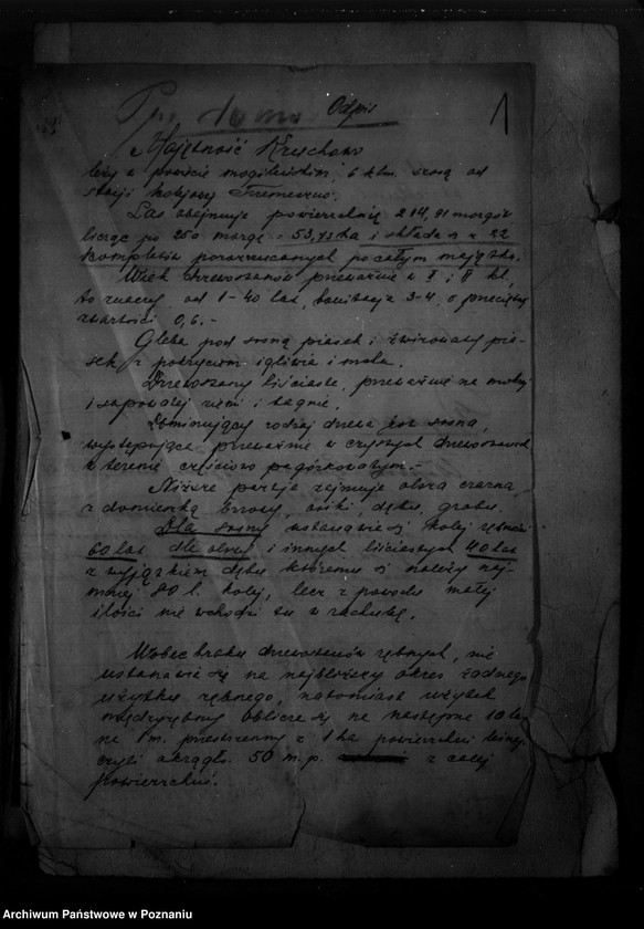 Obraz 5 z jednostki "/Majętność leśna Ruchowo powiat mogileński/"