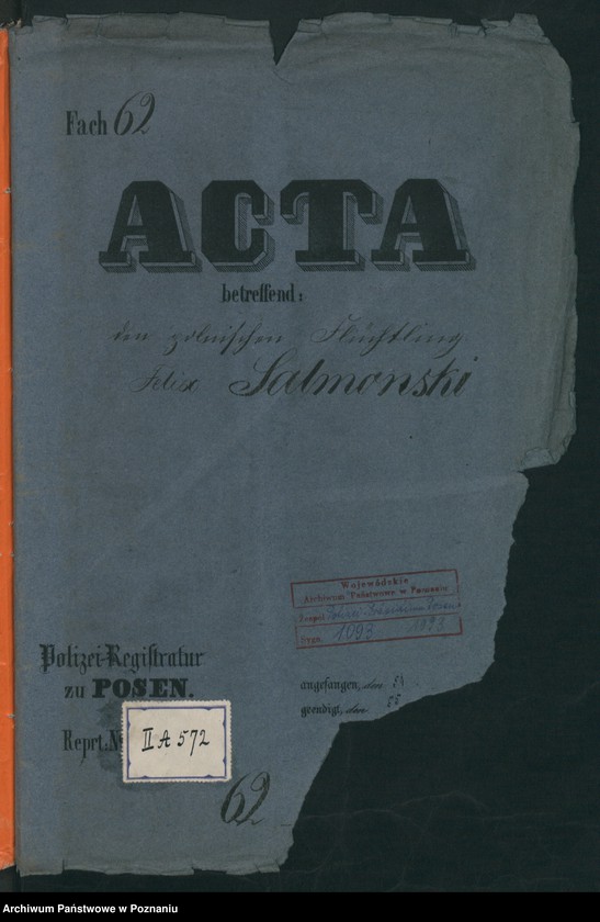 Obraz 2 z jednostki "A. betr. Felix Salmoński"