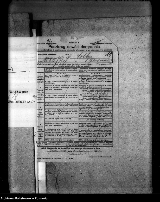 Obraz 17 z jednostki "Las gminy Jaromierz powiat wolsztyński"