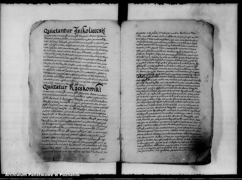 Obraz 9 z jednostki "Inscriptiones, relationes [inducta]"